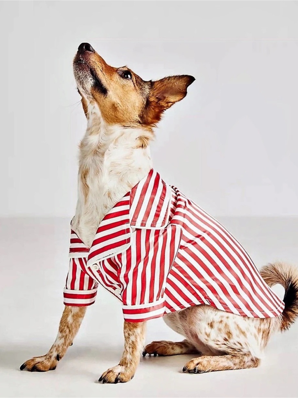 Found My Animal Red Stripe Dog Shirt Red & White Small